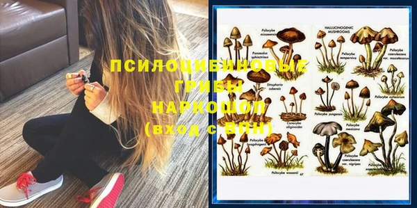 хмурый Алексеевка