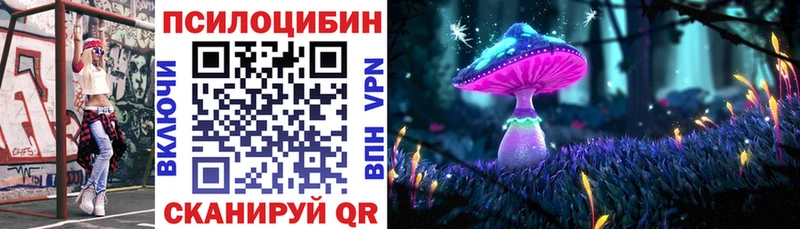 где продают   Сасово  Псилоцибиновые грибы Psilocybe 